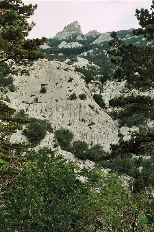 Original image