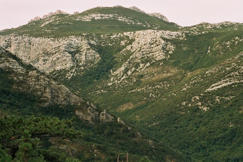 Original image