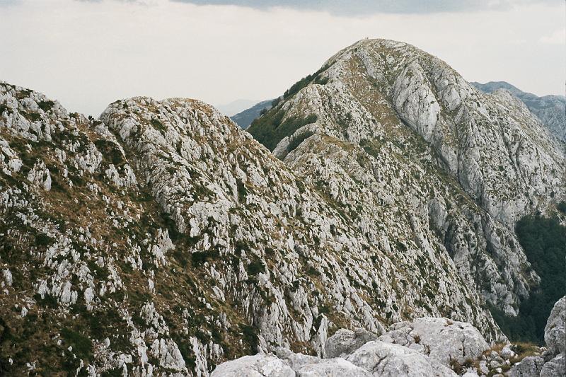 Original image