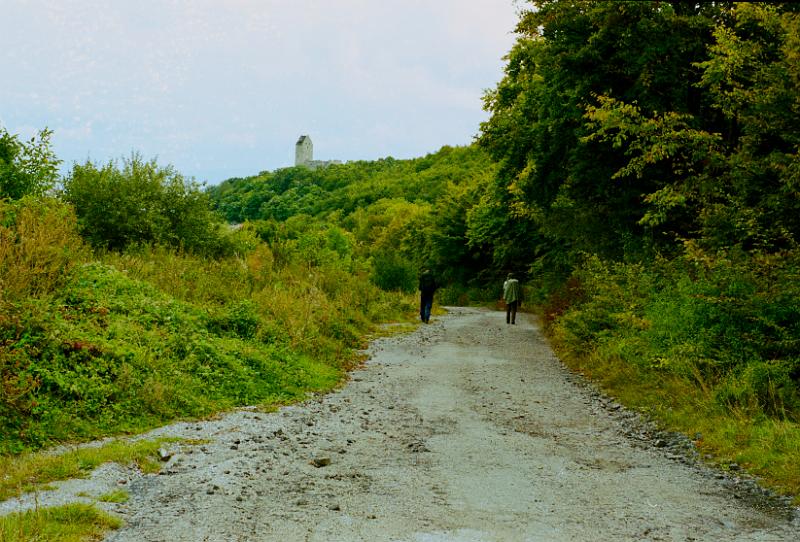Original image