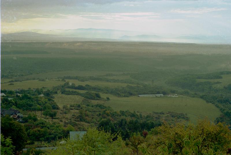 Original image