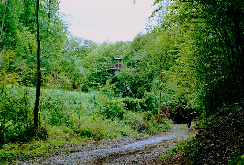 Original image