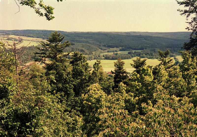 Original image