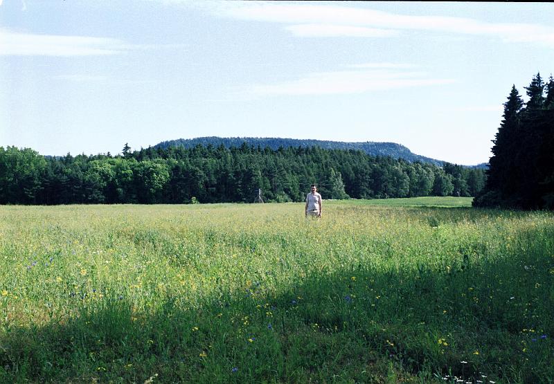 Original image