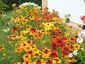 dscf0539