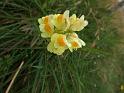 dscf0541