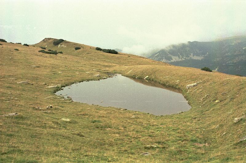 Original image