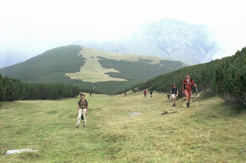 Original image