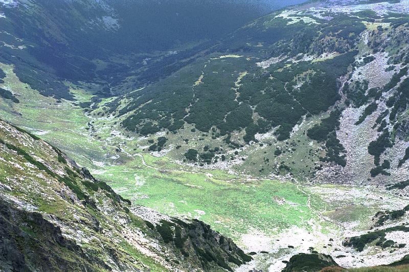 Original image