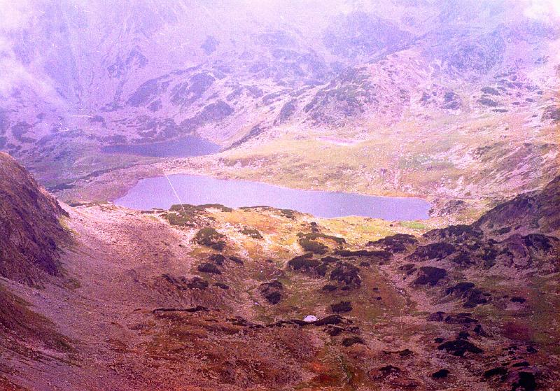 Original image
