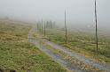 2009_1003_105419_Kr_louka_cesta_mlha_u_Zadnich_Rennerovek
