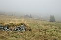2009_1003_105609_Kr_louka_mlha_u_Zadnich_Rennerovek