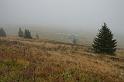 2009_1003_110013_Kr_louka_mlha_u_Zadnich_Rennerovek
