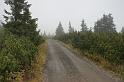 2009_1003_111428_Kr_cesta_mlha_u_Rozcesti