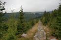 2009_1004_101807_Kr_pesina_Bradlerovi_boudy