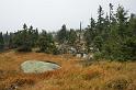 2009_1004_111523_Kr_zbarvena_trava_stromky_kameny