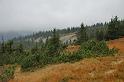 2009_1004_111601_Kr_zbarvena_trava_stromky_kameny