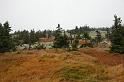 2009_1004_111758_Kr_zbarvena_trava_stromky_kameny