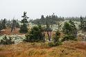 2009_1004_111819_Kr_zbarvena_trava_stromky_kameny