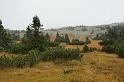 2009_1004_112250_Kr_zbarvena_trava_stromky_kameny