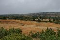 2009_1004_121629_Kr_zbarvena_trava_stromky_Violik_v_mlze