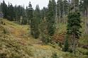2009_1004_130411_Kr_udoli_Velke_Mumlavy