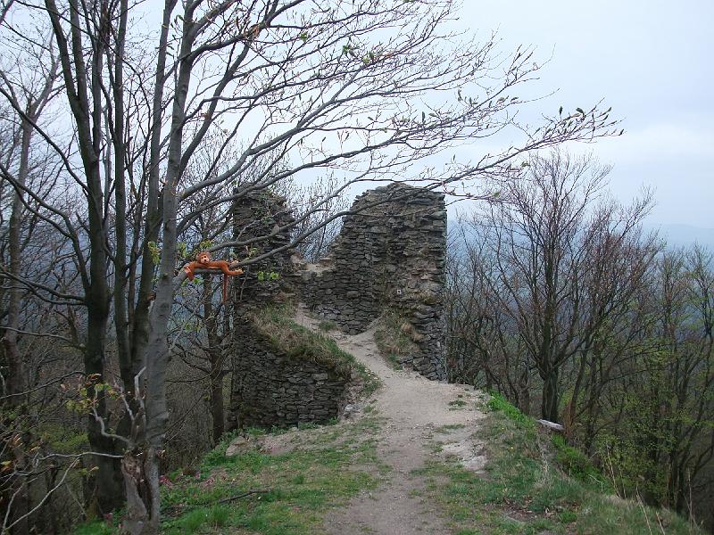 Original image