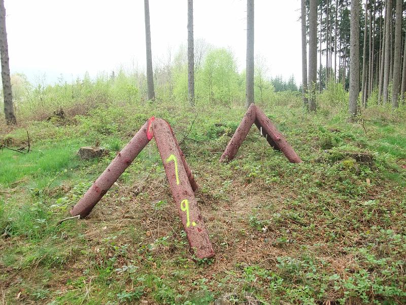 Original image