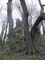 dscf0895