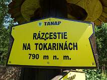 14: P1000570