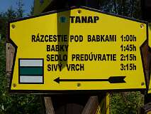 15: P1000571