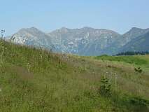 23: P1000585
