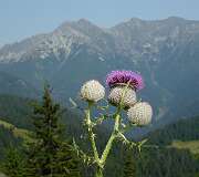 24: P1000586