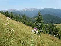 25: P1000587