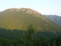 46: P1000627