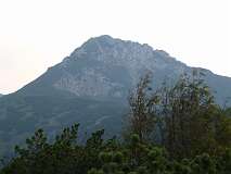 49: P1000630