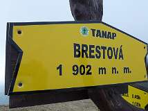 64: P1000671