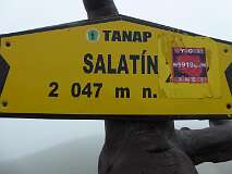 67: P1000677