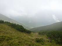 80: P1000705