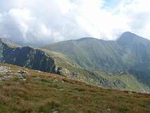 135: P1000795