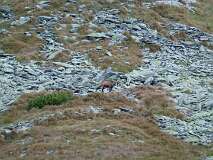 186: P1000889