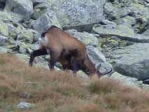 188: P1000892