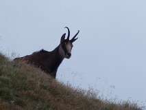 189: P1000893