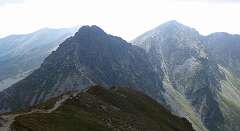 213: P1000936