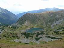 224: P1000950