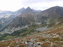 228: P1000959