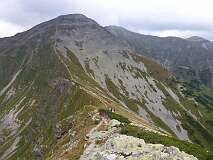 230: P1000961