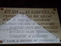 241: P1000981