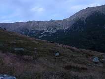 244: P1000987