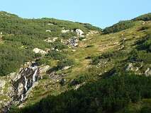 256: P1010018